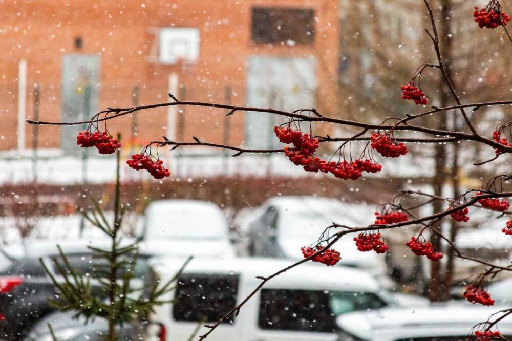 Синоптики сделали прогноз погоды на декабрь в Новосибирске
