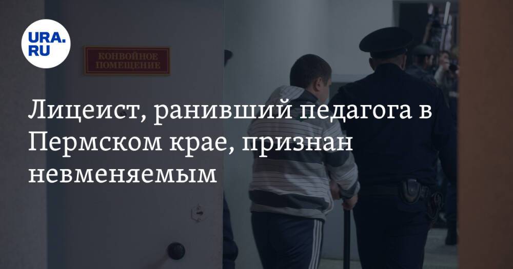 Лицеист, ранивший педагога в Пермском крае, признан невменяемым