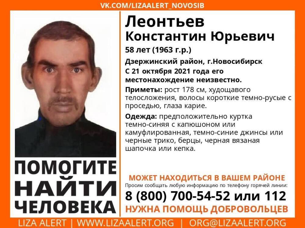 В Новосибирске 58-летний мужчина исчез с крыши дома