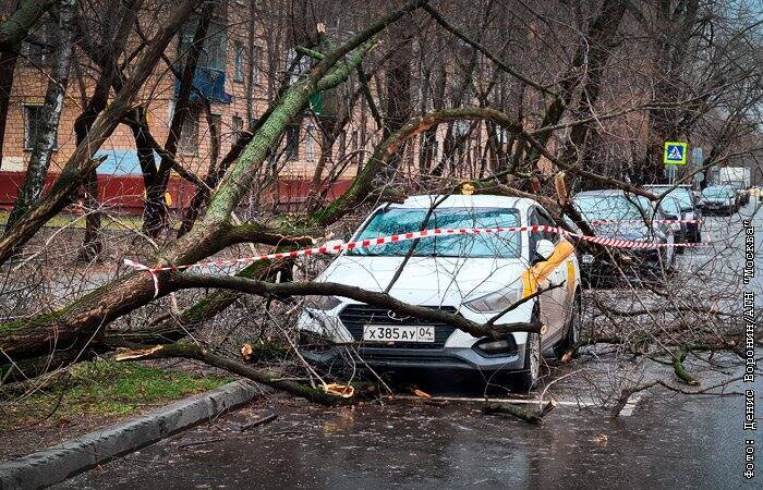 В Москве из-за штормового ветра получили травмы две женщины