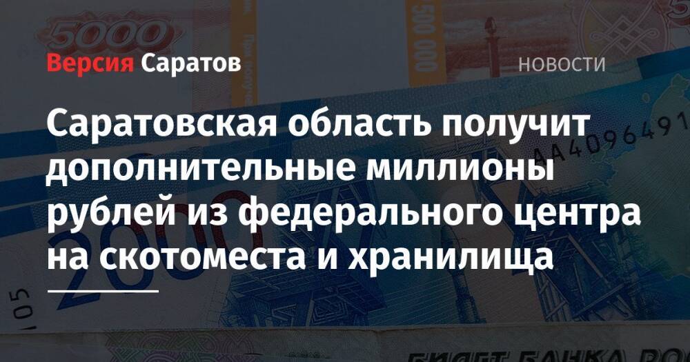Саратовская область получит дополнительные миллионы рублей из федерального центра на скотоместа и хранилища