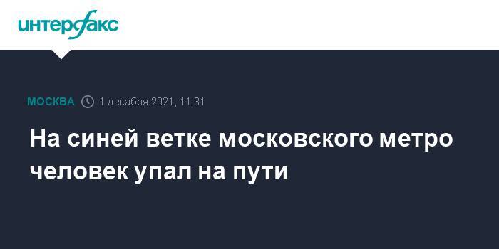 На синей ветке московского метро человек упал на пути