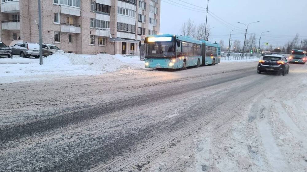 Имитацию уборки снега сняли на видео в Невском районе Петербурга