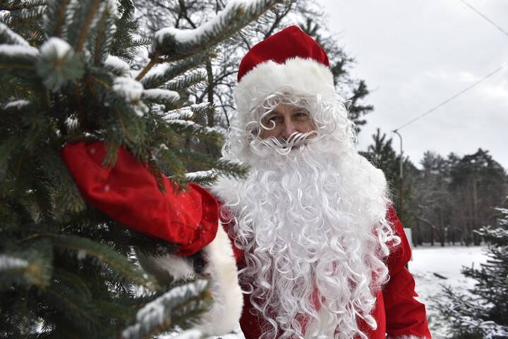Столичная усадьба Деда Мороза открылась для посетителей в формате COVID-free