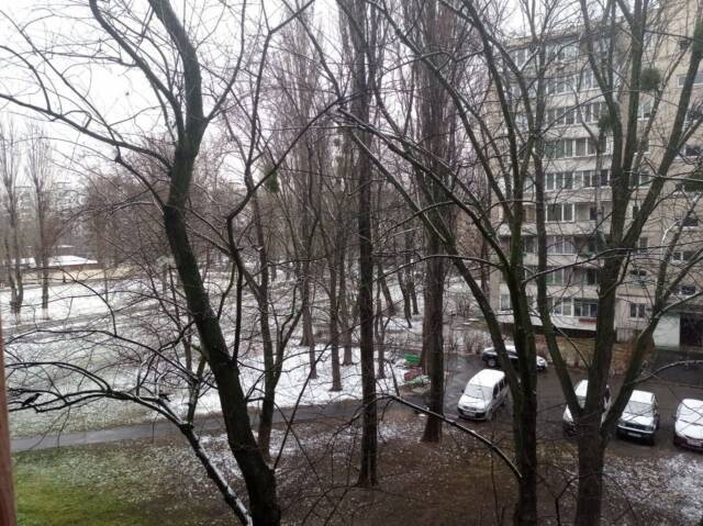 В первый день зимы в Киеве выпал снег: соцсети делятся фото