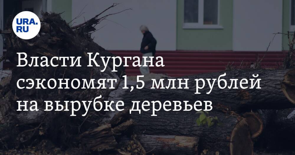 Власти Кургана сэкономят 1,5 млн рублей на вырубке деревьев