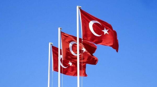 Турция отказалась поддержать санкции против России