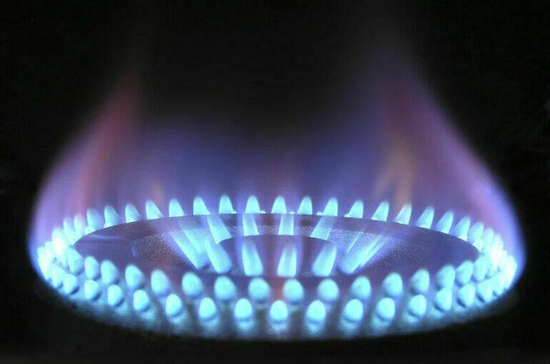 Россия и Белоруссия согласовали цену на газ на 2022 год