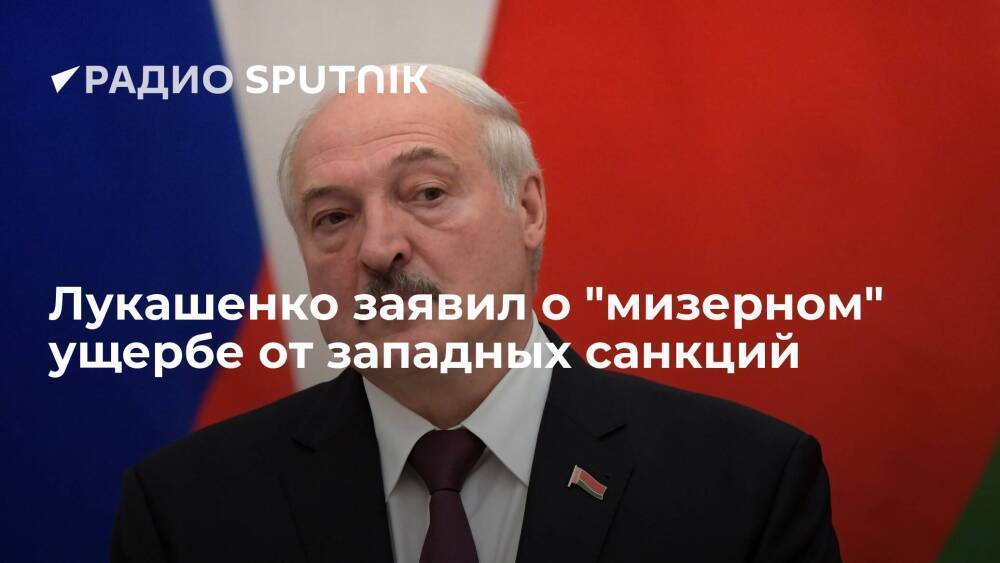 Президент Белоруссии Лукашенко: ущерб от санкций Запада для страны – это мизер