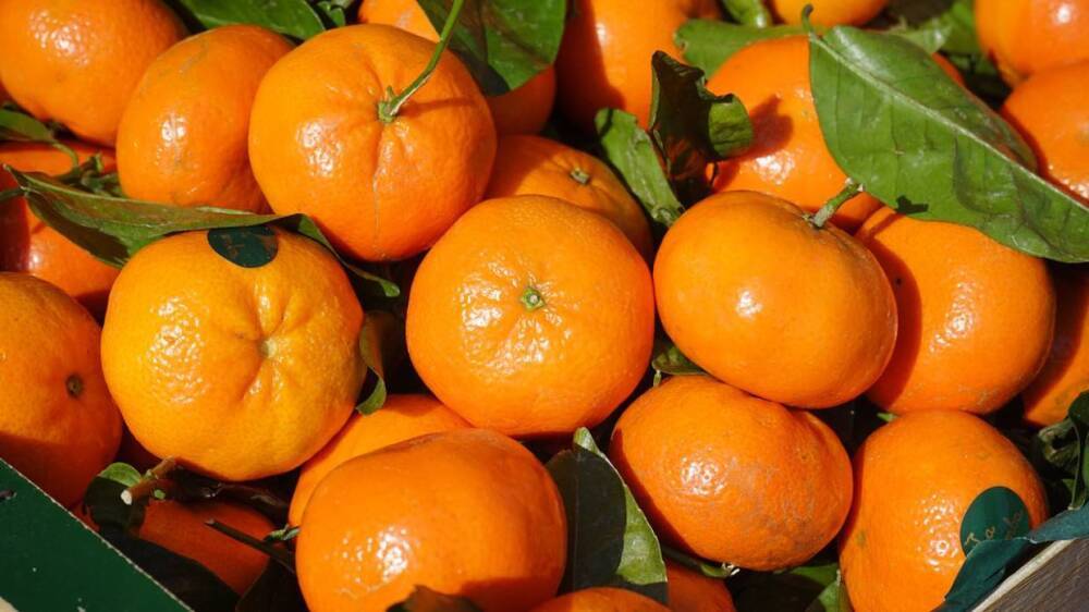 Диетолог Михалева предупредила о риске аллергической реакции от переедания мандаринов