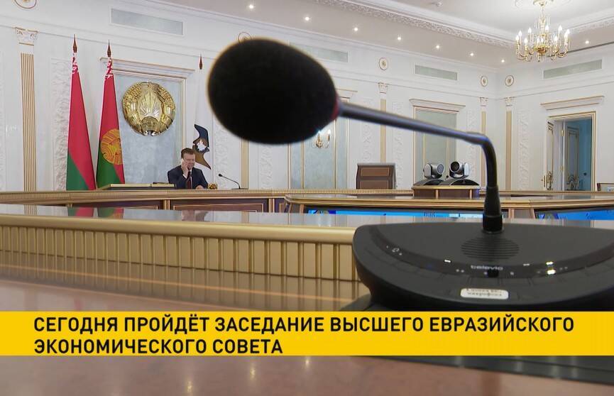 Заседание Высшего Евразийского экономического совета пройдет 10 декабря
