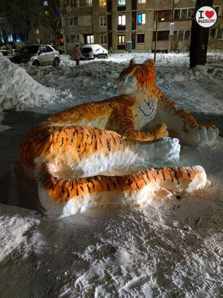 «Снежный зоопарк» во дворе Выборга пополнил символ 2022 года — тигр