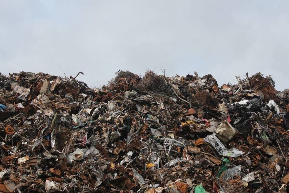 Дрозденко пообещал за два года закрыть все мусорные полигоны в Ленобласти