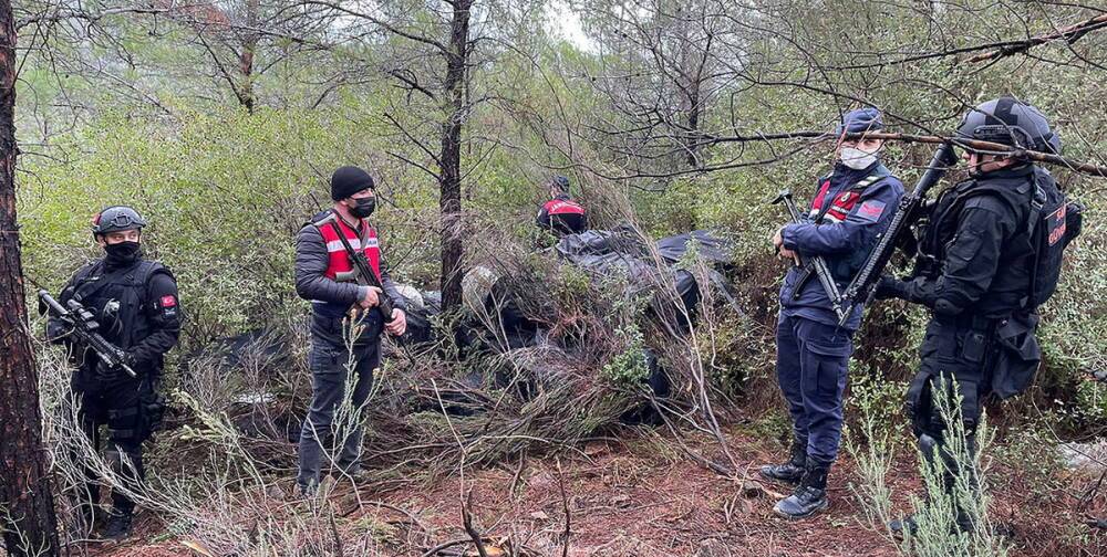 Албанский президент озабочен масштабами производства наркотиков в...