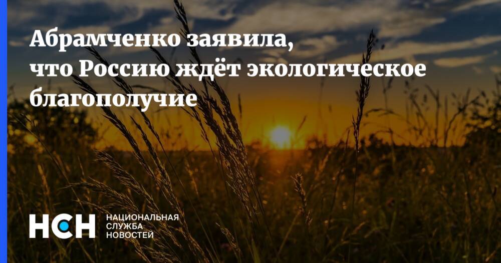Абрамченко заявила, что Россию ждёт экологическое благополучие