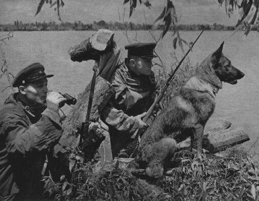 «Рыбная война» на Дальнем Востоке: как советские пограничники боролись с японскими браконьерами - Русская семерка
