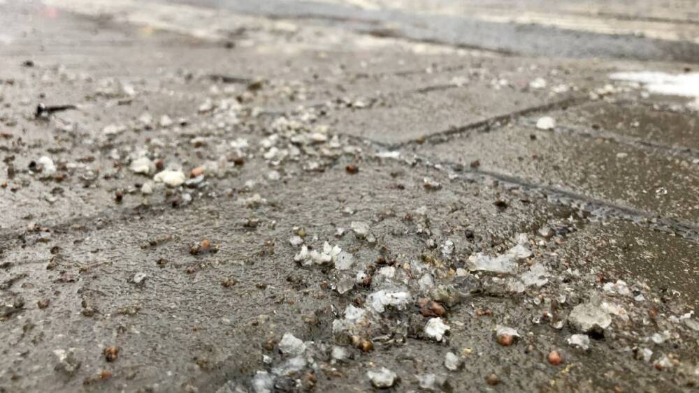 Коммунальщики превратили посыпку заснеженных улиц Петербурга песком в катание на «санках»
