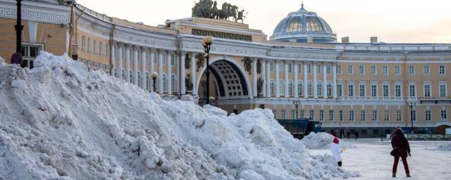 Петиция с требованием убрать снег с улиц Петербурга за 5 дней набрала 10 тысяч подписей