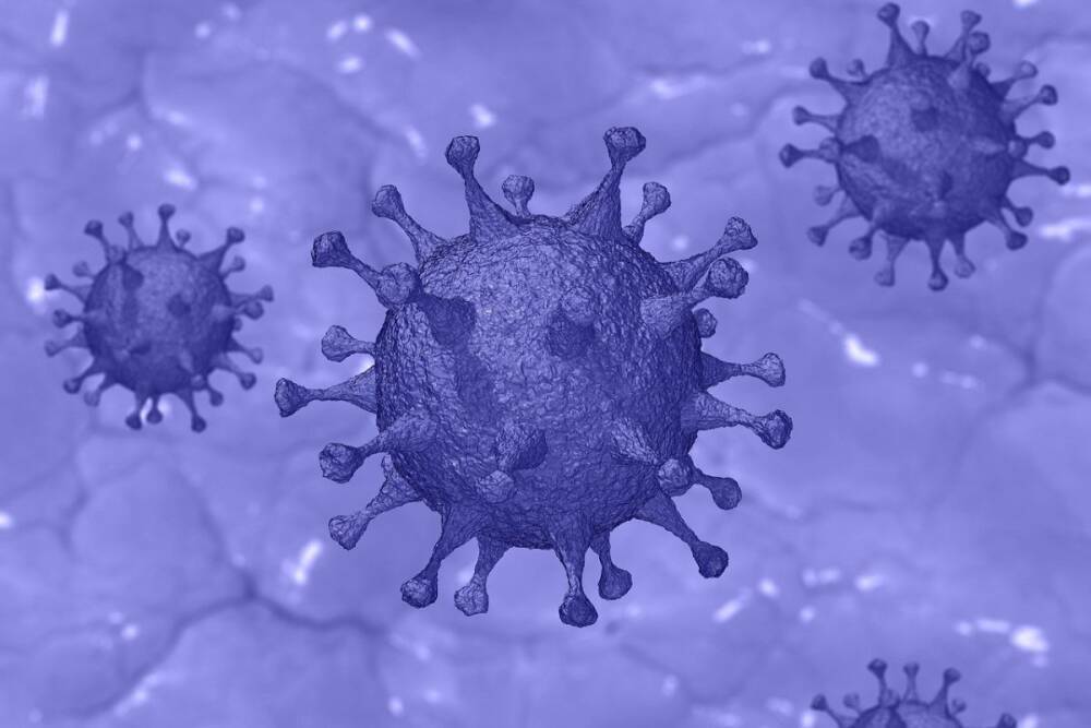 Иммунолог объяснил большое количество мутаций коронавируса