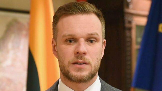 Глава МИДа Литвы Габриэлюс Ландсбергис подал в отставку из-за «Беларуськалия»