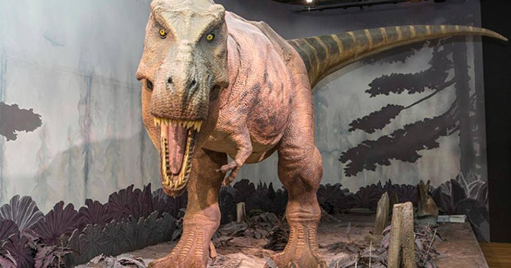 На территории современной Испании жили динозавры-спринтеры
