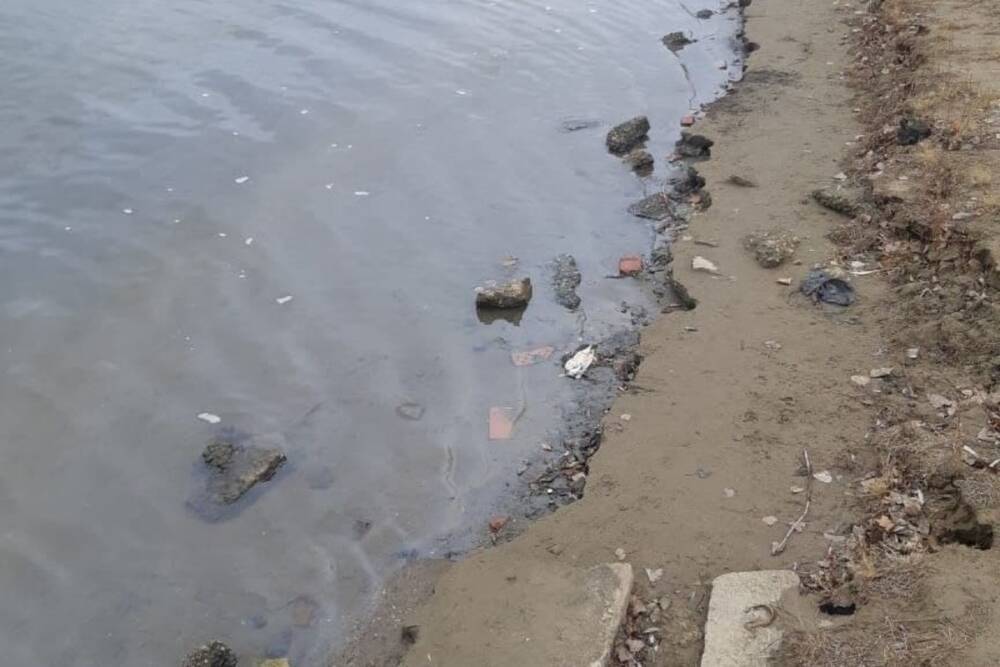 На реке Прямая Болда в Астрахани обнаружили маслянистую пленку