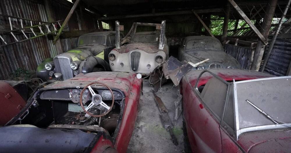В старом сарае обнаружена коллекция авто стоимостью миллионы долларов (видео)