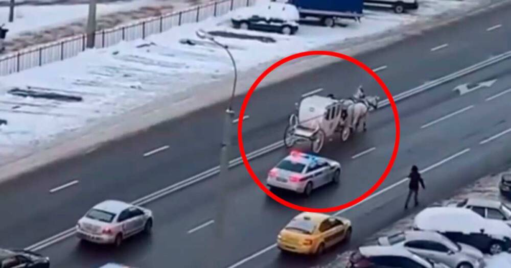 Карета с лошадьми стала причиной пробки на дороге в Москве
