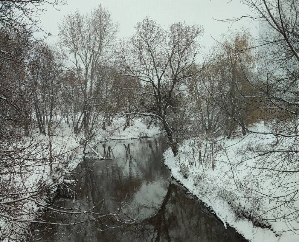 Резкое потепление: выпавший в Москве снег может растаять уже через пару дней - Русская семерка