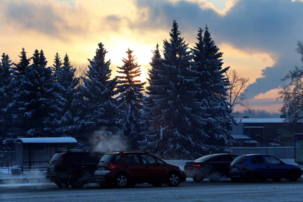 Новая неделя начнется в Ленобласти со снега, гололедицы и -9 °C