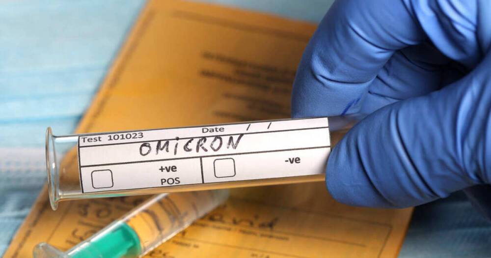 В ВОЗ назвали штамм "омикрон" менее опасным, чем "дельта"