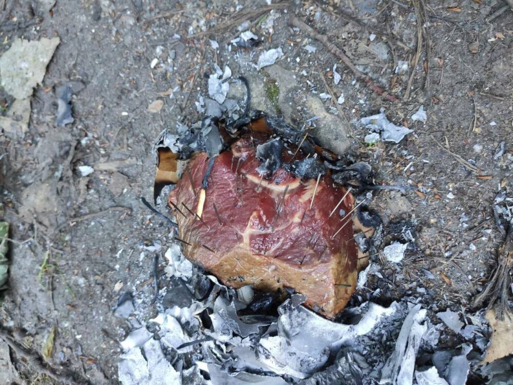 Жителей Московского испугало мясо с начинкой из гвоздей, разбросанное по двору
