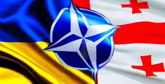Госсекретарь США назвал условие вступления Украины и Грузии в НАТО