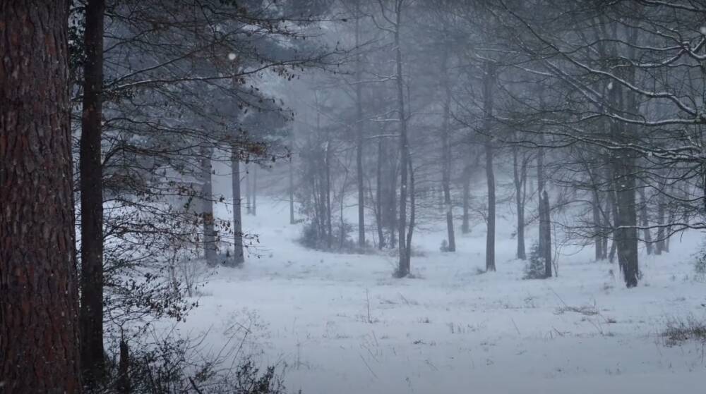 Снег, дожди и тепло до +14: погода пятнами разделит Украину, где будет настоящая зима