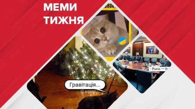Запрет пластиковых пакетов и атаки кошек на новогодние елки: ТОП самых смешных мемов недели