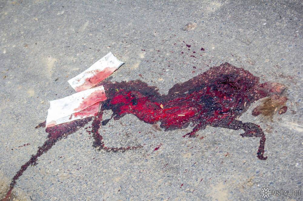 Устроивший взрыв в Серпуховском женском монастыре юноша погиб от потери крови