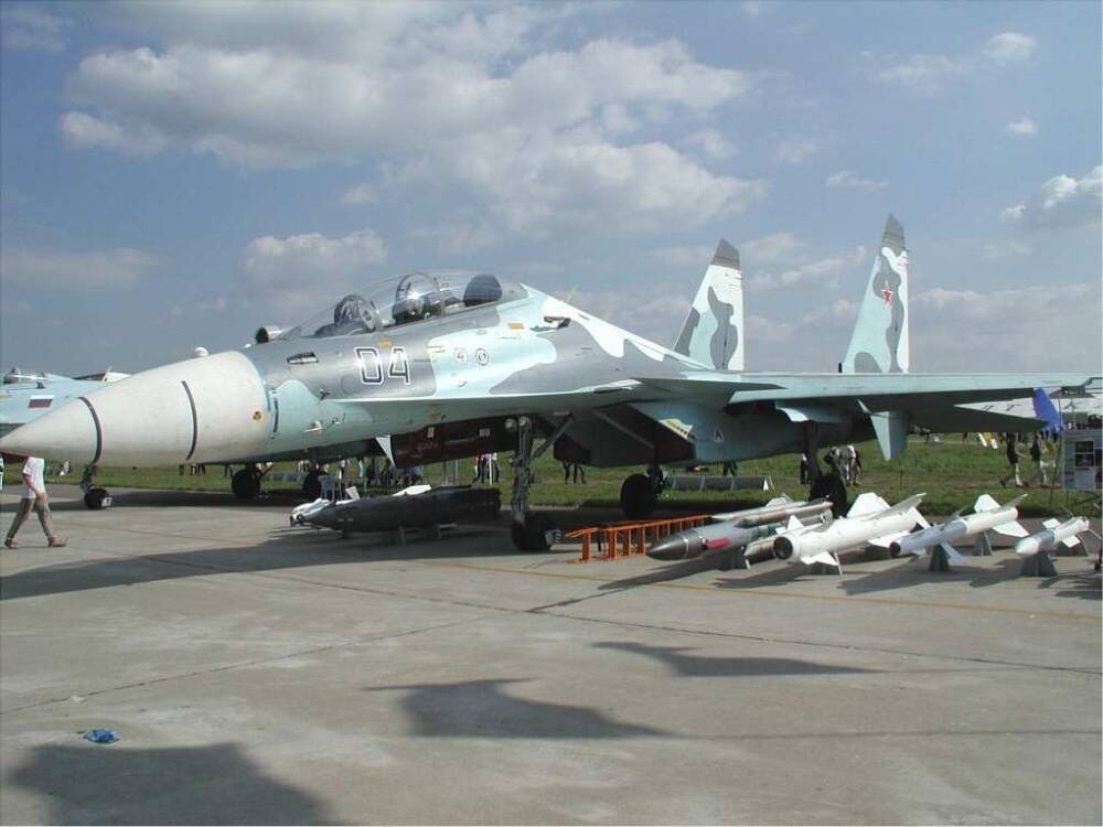 Sohu: Пилот НАТО получил стресс из-за маневров российского истребителя Су-30