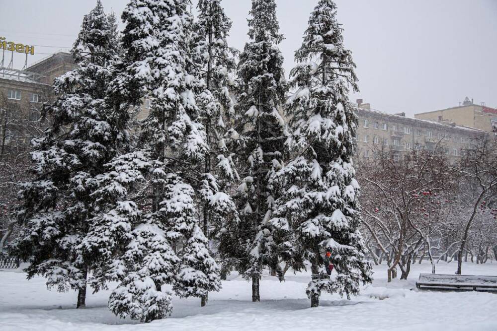 Новосибирск завалило снегом: 10 атмосферных фото с улиц города