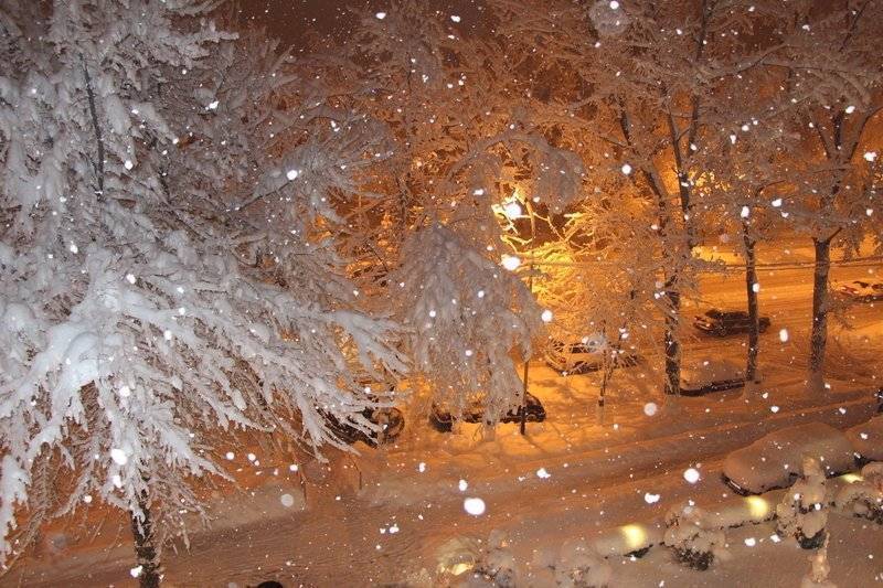 МЧС предупреждает жителей Ленобласти о сильном снегопаде в ближайшие три дня