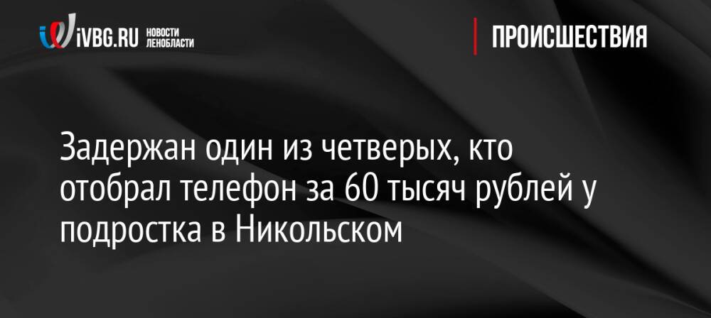 Задержан один из четверых, кто отобрал телефон за 60 тысяч рублей у подростка в Никольском