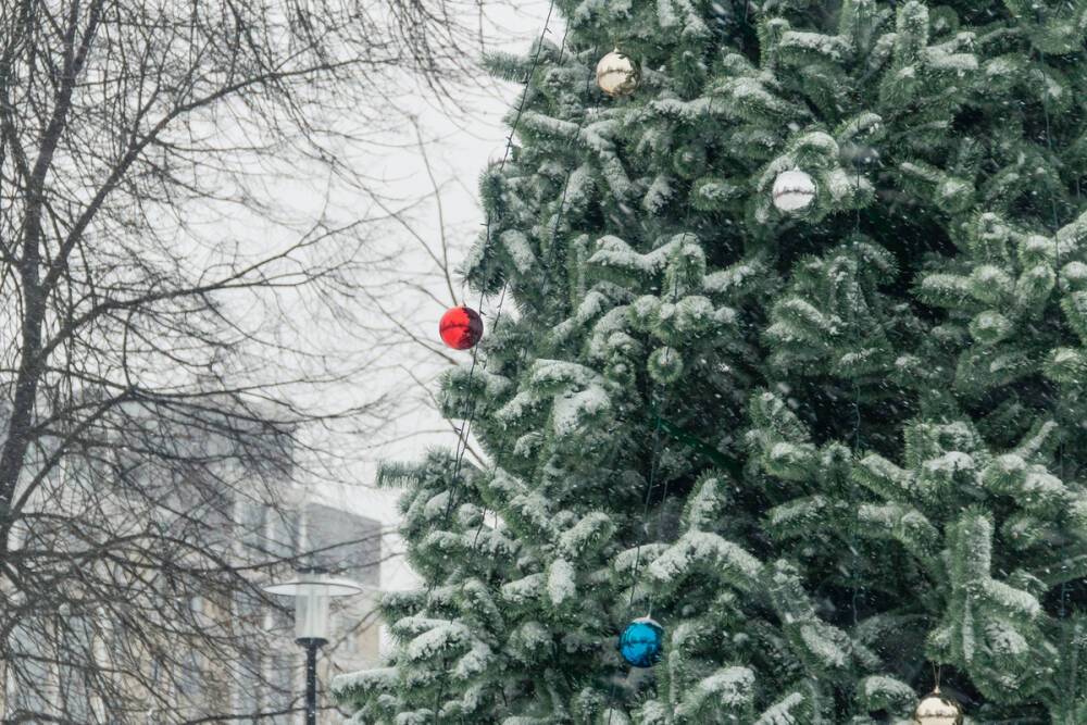 В ночь на 14 декабря в Рязанской области ожидается снегопад