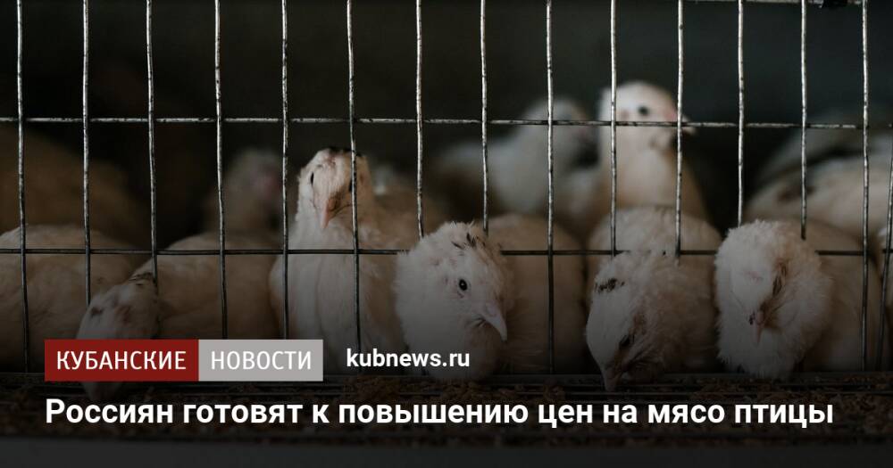 Россиян готовят к повышению цен на мясо птицы