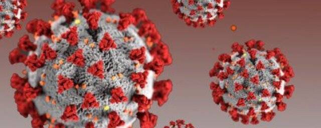 В Ростове у студента из Конго заподозрили омикрон-штамм коронавируса