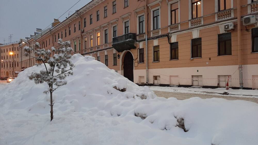 Снежные кучи на обочинах дорог в Петербурге стали опасной площадкой для детских игр