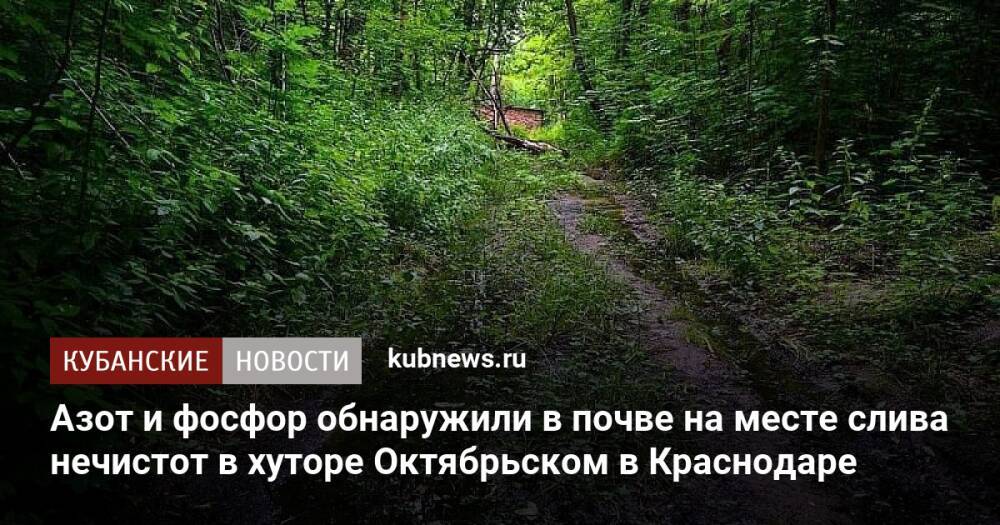 Азот и фосфор обнаружили в почве на месте слива нечистот в хуторе Октябрьском в Краснодаре