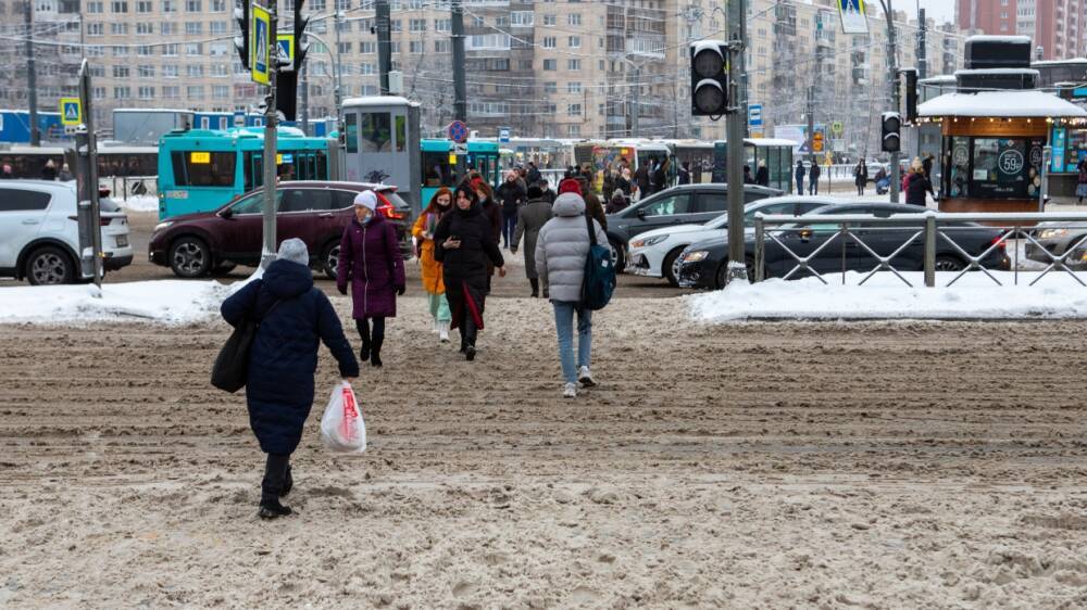 Реагенты на улицах Петербурга могут вызвать ожоги, раны и аллергические реакции у животных