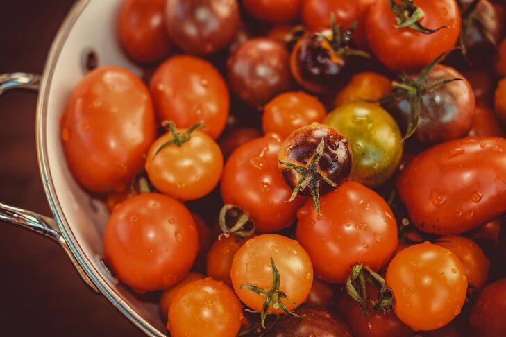 На грядках трескаются помидоры: какую досадную оплошность мог допустить огородник