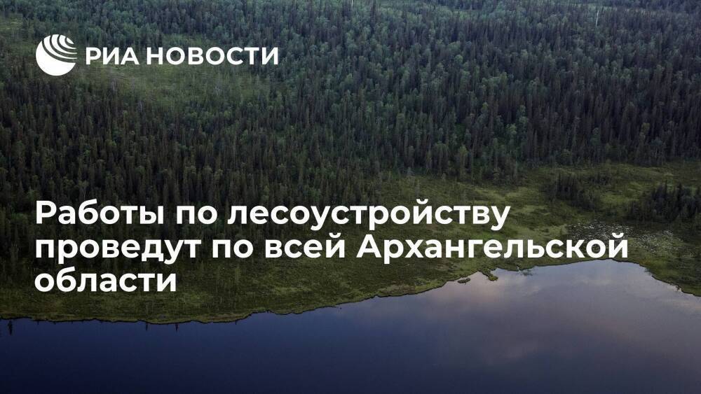 Глава Архангельской области Цыбульский: работы по лесоустройству проведут по всему региону