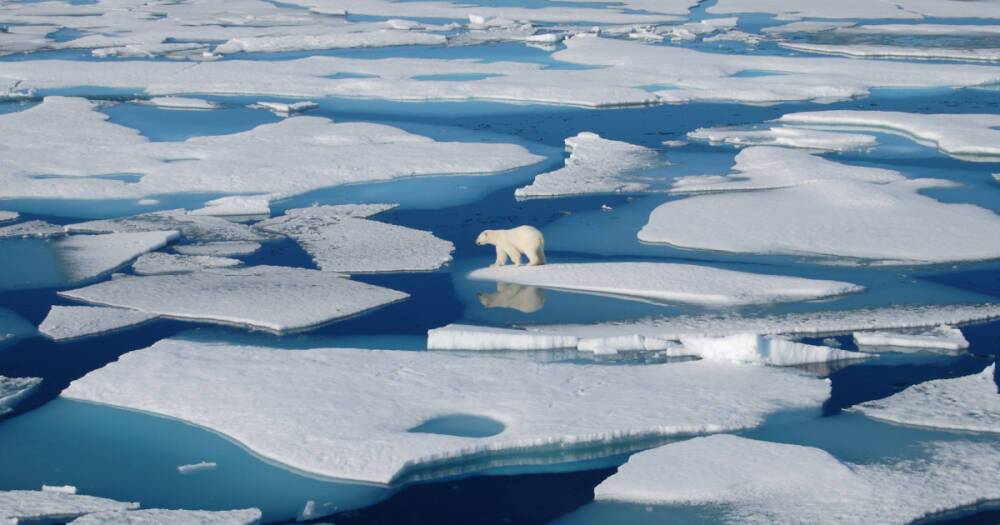 Новый температурный рекорд Арктики — 38⁰C, — метеорологи