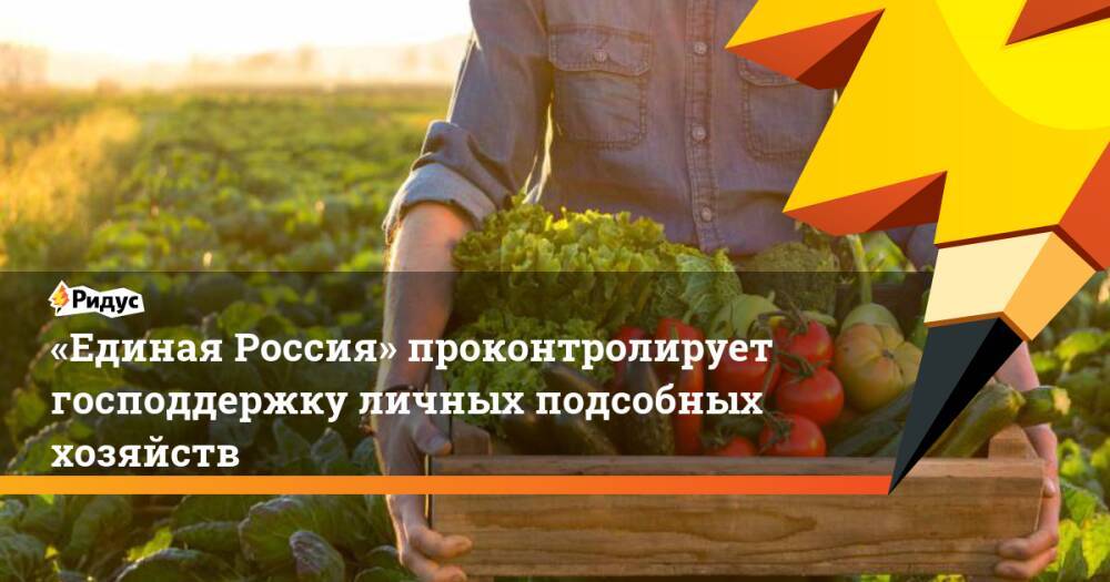 «Единая Россия» проконтролирует господдержку личных подсобных хозяйств